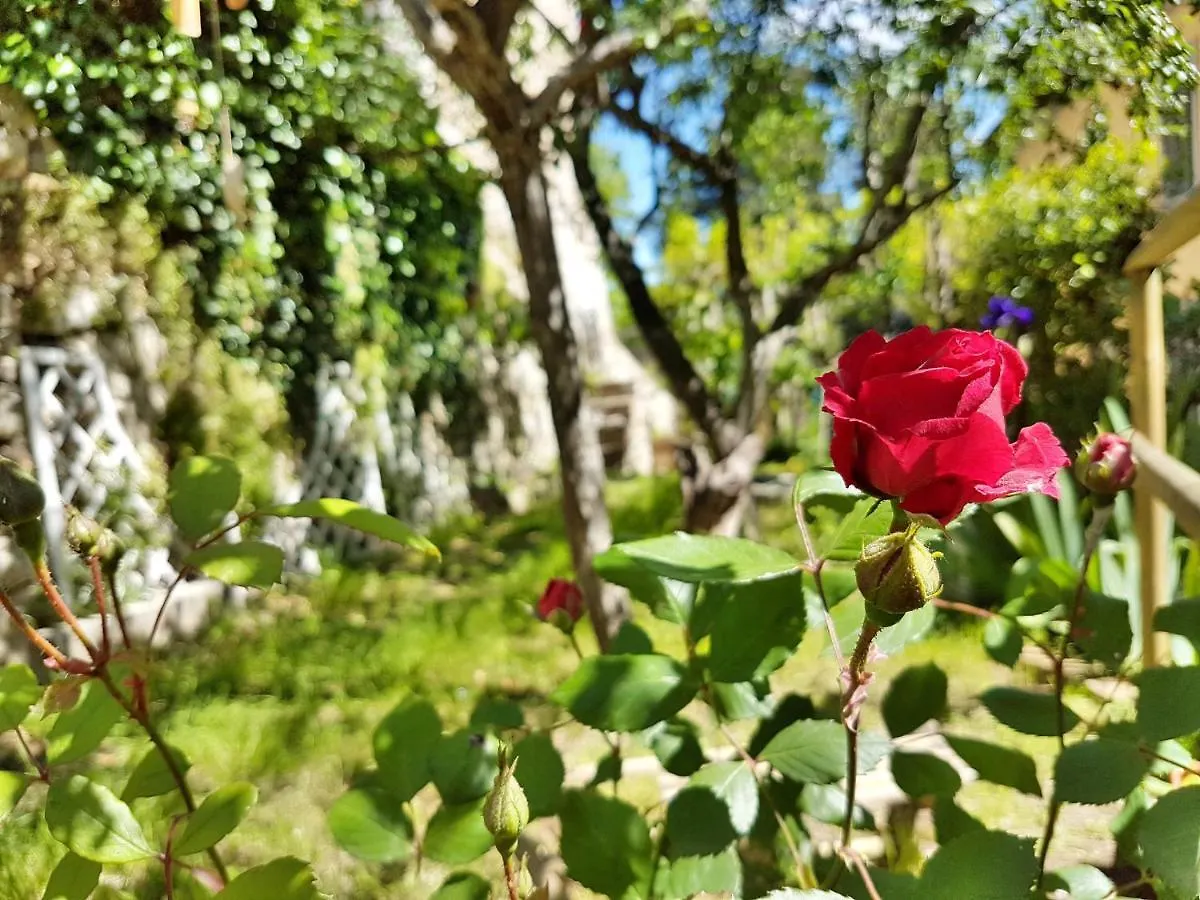 La Rosa Dei Vespucci Historic Apartments Greve in Chianti