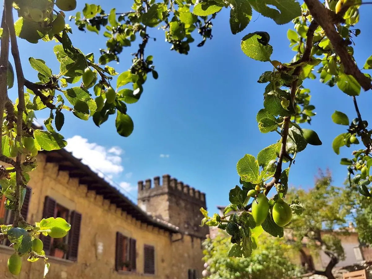 La Rosa Dei Vespucci Historic Apartments Greve in Chianti Italy
