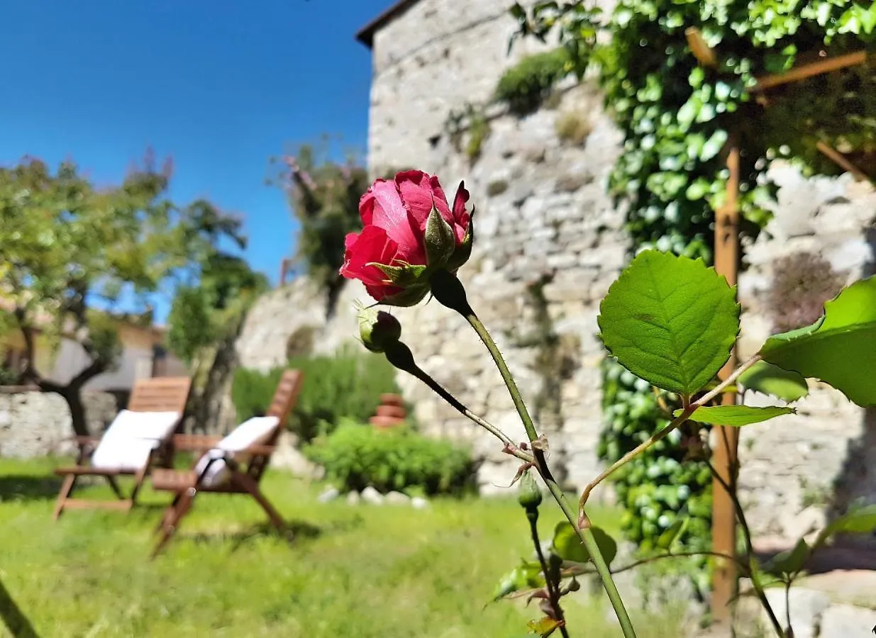 La Rosa Dei Vespucci Historic Apartments Greve in Chianti